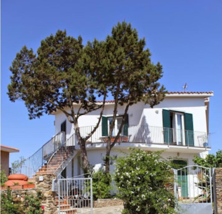 Il Ginepro Di Stintino B&B 외부 사진